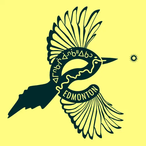 Magpie and the sun
